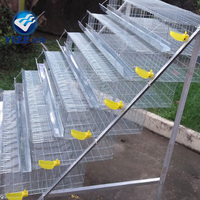 Cages à piles, équipement de volaille utilisé pour la vente, caille Type H, Cage tressée, cultures électriques galvanisées à chaud