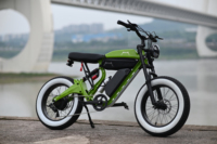 Vélo tout-terrain électrique puissant OEM M20-III 48V 32Ah à double moteur et double batterie, pneus 20"*4.0", vélo électrique rapide et robuste 2000w