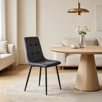 Chaise de salle à manger simple et moderne pour la maison, avec cadre en fer élégant, coussin léger et stable, pour restaurant, hôtel, balcon, salon, avec dossier, pour table à manger