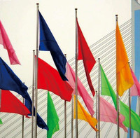 Drapeaux de plage promotionnels personnalisés avec logo d'entreprise, bannières, drapeaux plume, polyester, mât en aluminium, événements professionnels
