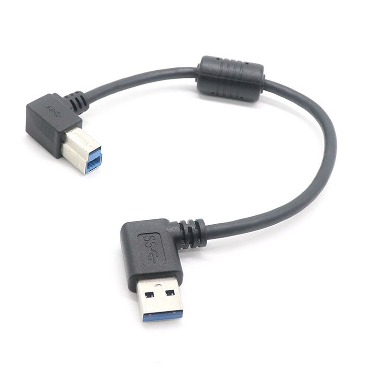 Cavo USB 2.0 A Maschio A Mini-B 5 Pin 10 Piedi (3m) Con Ferrite – Wennow