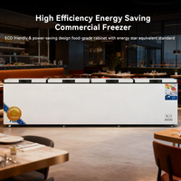 Congélateur horizontal commercial OEM ODM 4 portes 1700 litres en acier inoxydable, congélateur coffre profond commercial