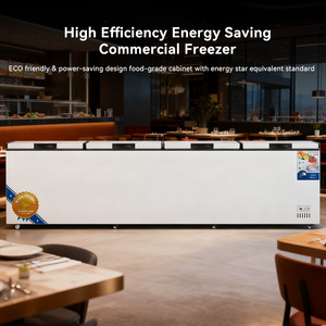 Congélateur horizontal commercial OEM ODM 4 portes <span class=keywords><strong>1700</strong></span> litres en acier inoxydable, congélateur coffre profond commercial - Product Image 3