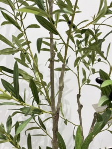 Verdure <span class=keywords><strong>d</strong></span>écorative salon simulation <span class=keywords><strong>olivier</strong></span> plante artificielle jardin terres capin <span class=keywords><strong>d</strong></span>écoration de terrasse - Product Image 4