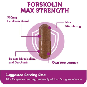 Capsule de Forskolin à Marque Blanche Force Maximale Extrait de Forskohlii pour le Métabolisme, les Objectifs de Poids, le Contrôle de l'Appétit et le Soutien de la Sérotonine - Product Image 3