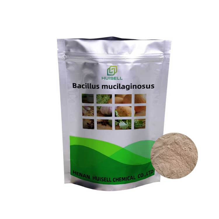 Распродажа, био-удобрение Bacillus Mucilaginosus