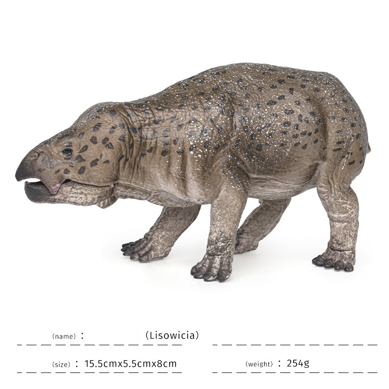 lisowicia