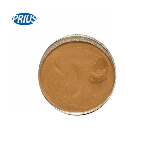 Wholesale Price Ginger Root Extract Ginger Extract 10:1 50:1 Ginger Extract Powder