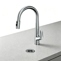 Robinet de cuisine extractible WEIHAO en chrome poli, bec haut, deux modes de pulvérisation, monocommande, pour évier de cuisine domestique, usage quotidien