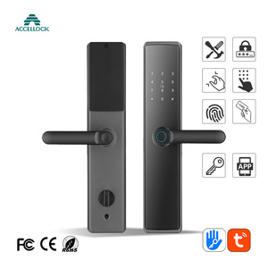 ACCELLOCK 定制廉价批发插芯门把手 Rfid Tuya Wifi 远程解锁智能 TT 锁带应用程序解锁功能 - Product Image 1