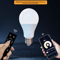Ampoule LED de sol en aluminium Alison 24G AC Smart WiFi avec télécommande, gradation progressive, réglage des couleurs et contrôle par téléphone E26
