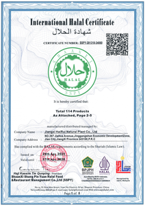 Olio Essenziale di Menta Piperita 100% Puro e Naturale per Pelle, Corpo, Lozione Mani e Cosmetici - Prezzo all'Ingrosso - Product Image 6