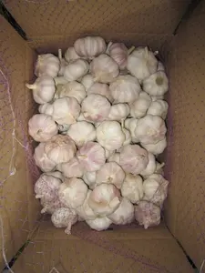 Natural fresh garlic Chinese Normal White Garlic Pure White Garlic