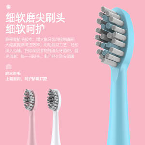 Brosse à dents électrique à poils doux pour adultes avec logo personnalisé, étanche IPX7, boîtier en plastique, pile sèche 800MAH 1200MAH - Product Image 1