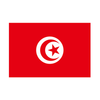 Drapeau national tunisien à prix réduit, imprimé sérigraphique, polyester/nylon, design portable et léger pour les défilés