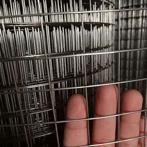 Sıcak satış kuş kafesi kaynaklı tel tel örgü rulosu/tel örgü çit <span class=keywords><strong>pvc</strong></span> kaplı kaynaklı tel tel örgü rulosu - Product Image 4