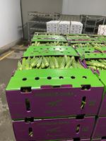Okra Doos Voor Groentefruitlandbouw Verpakking Van Maïs Broccoli