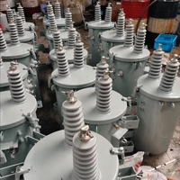 Transformateur monophasé immergé dans l'huile, à bobine toroïdale, de type colonne, haute efficacité 0.98, D11 100KVA, entrée 10KV