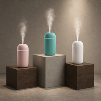 Mini humidificateur portable alimenté par USB, humidificateur à brume fine, léger, pour chambre à coucher, bureau, voiture, usage intérieur