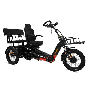 Triciclo de Carga de Alta Calidad de 2500w, 48v 152ah, Bicicleta Eléctrica con Batería de Litio, Bicicleta Eléctrica para Adultos 2026 - Product Image 4