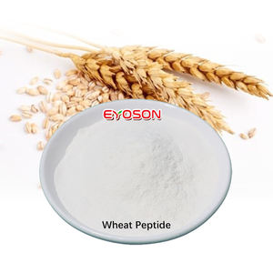 Proteína de Trigo Hidrolizada en Polvo, Suplemento Vegetal, Certificado Halal, Grado Alimenticio, Envasado al Vacío, Venta al Por Mayor - Product Image 1