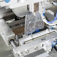 Pompe à piston automatique emballage de mesure Sachet de jus de fruits huile d'olive vinaigre eau de coco Sauce sachet remplissage Machine d'emballage