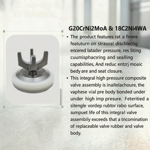 ชุดวาล์วแบบรวม Coreseal รุ่น G20CrNi2MoA ผลิตจากเหล็กอัลลอยด์ วาล์วปั๊มแบบชิ้นเดียวพร้อมยางเสริมสำหรับปั๊ม Frac - Product Image 1