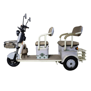 Bicicletta Elettrica a Tre <span class=keywords><strong>Ruote</strong></span> 48V 500W, Triciclo Passeggeri Omologato EEC, Mini Scooter Elettrico Chiuso a <span class=keywords><strong>3</strong></span> <span class=keywords><strong>Ruote</strong></span> - Product Image 3