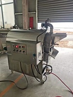 Équipement de transformation du cacao automatique de nouvelle conception de 30 kg, machine à torréfier les fèves de cacao