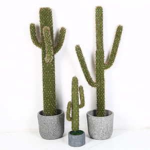 Plastique <span class=keywords><strong>Cactus</strong></span> Succulentes grandes plantes artificielles en pot - Product Image 2