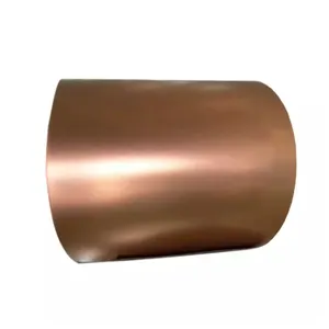 Bobines d'acier revêtues de couleur bobines d'acier ppgi prépeintes fabrication de fournisseurs d'acier