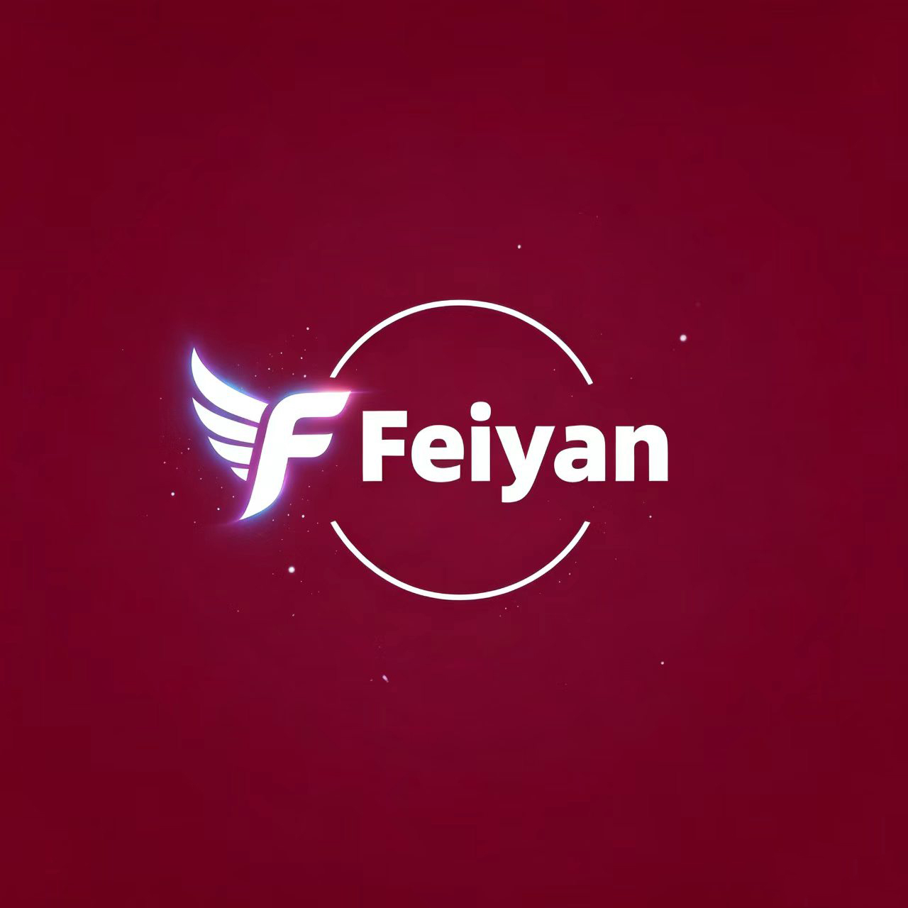 Guangzhou Feiyan Technology Co., Ltd. logo
