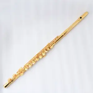 顶级全镀金长笛专业长笛乐器价格好高端中笛长笛