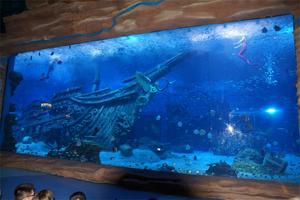 Wandmontage Acryl <span class=keywords><strong>Aquarium</strong></span> <span class=keywords><strong>Aquarium</strong></span> Aquaria & Accessoires Plastic 100% Pure Geïmporteerd Lucite 20Mm-500Mm Duurzame 0.041% - Product Image 5