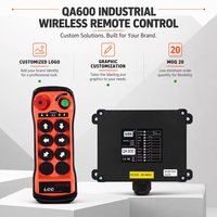 Télécommande radio pour grue LCC QA600, étanche IP65, homologuée CE, télécommande sans fil industrielle pour palan