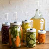 Kit de Fermentation en Trois Pièces pour Bouteilles Mason, Valve Unidirectionnelle en Plastique PC, Bulleur à Fermeture Étanche