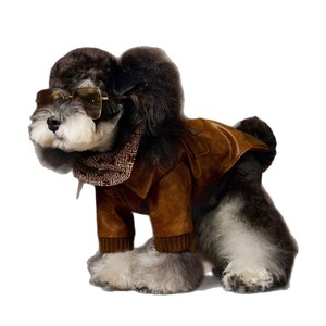 เสื้อผ้าสัตว์เลี้ยง เสื้อแจ็คเก็ตหนัง PU สไตล์อังกฤษย้อนยุคสำหรับสุนัข แขนยาว <span class=keywords><strong>กางเกง</strong></span>สองสายรัดเก๋ไก๋ คุณภาพสูง โลโก้ปรับแต่งได้ - Product Image 5