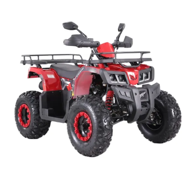 Tao Motor savaşçı 200 CC ATV 4 tekerlekli zincirli tahrik sistemi quad Atv 200cc ATV 2 yolcu için EPA ile ECE