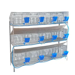 Breeding Rabbit House Attached Nest Box and Rabbit Cages Provided 40 Rabbit Cages for Sale Philippine