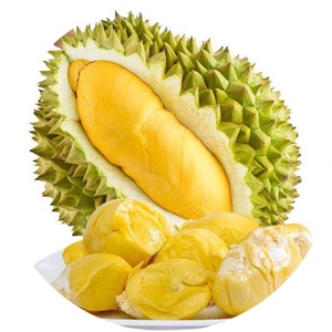 Extracto de Durian 100% Puro y Orgánico en Polvo, Grado Alimenticio, Pulverizado, en Botellas, Tambores y Recipientes de Vidrio Envasados al Vacío - Product Image 2