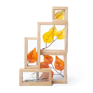 Vui Đồ Chơi Trẻ Em <span class=keywords><strong>8Pcs</strong></span> Kho Báu Khối Xây Dựng Trong Suốt Acrylic Cửa Sổ Có Thể Thay Thế Kho Báu Bằng Gỗ Đồ Chơi Giáo Dục Cho Trẻ Em - Product Image 5