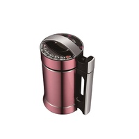 Kit d'extraction d'huile électrique en acier inoxydable pour beurre et herbes, machine domestique 1,3 L 900 W