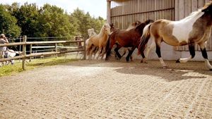 Alfombrillas de barro para paddock, rejillas de hierba de plástico para pavimentación permeable para uso ecuestre de estabilización de suelo de <span class=keywords><strong>Arena</strong></span> de caballos - Product Image 2