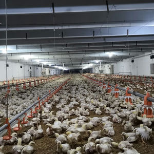 RS-44 yeni kanatlı 304 paslanmaz çelik tavuk Broiler asılı meme tavuk tiryakisi su meme - Product Image 5