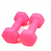 Mini haltères de yoga Pilates pour le fitness et le yoga unisexe