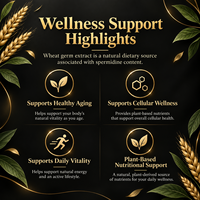 Capsules de Spermidine Plus OEM ODM, mélange d'extrait de germe de blé, marque privée, CGMP, végétalien, sans OGM, complément alimentaire pour un vieillissement sain