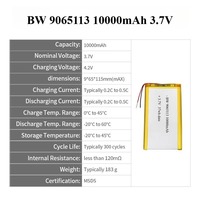 Batterie au lithium-ion usine chine batterie rechargeable pour voiture Rc BW 9065113 10000mAh 3.7V batterie Lipo