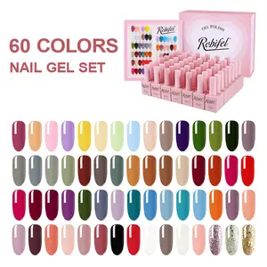 Robifel 60 Colour Korean Hot Selling Semi-Permanent Private Label Nail Gel Polish
