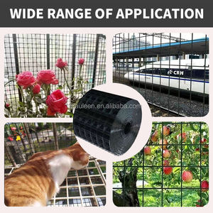 Kain perangkat keras logam <span class=keywords><strong>1</strong></span>/<span class=keywords><strong>2</strong></span> inci gulungan jala kawat las galvanis berlapis PVC vinil hitam untuk pagar kawat besi pagar kandang burung - Product Image 5