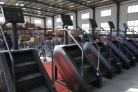 Machine à grimper les escaliers de qualité commerciale à prix d'usine, équipement de gym, appareil cardiovasculaire DS-16